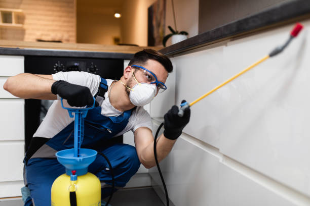 Best Flea Control Services  in Lake Wylie, SC