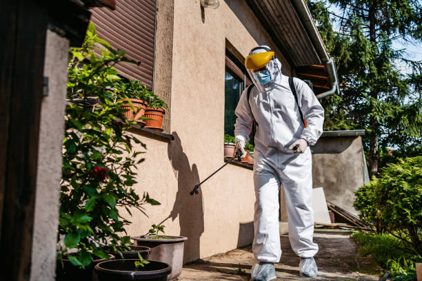 Flea Control Services in Lake Wylie, SC